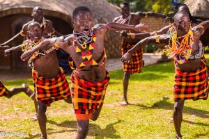 11938778_921314664583462_1375114429_n