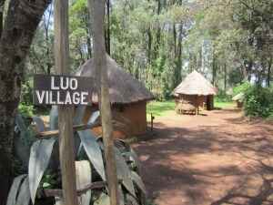 Photo by: www.windowssearch-exp.com